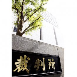 司法のチカラで社会を変える、可能性がある（Ｃ）日刊ゲンダイ