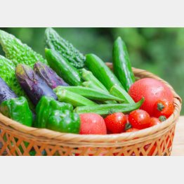 写真はイメージ