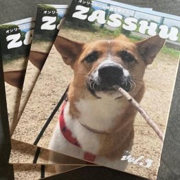 雑種犬の情報が少ないという思いから制作された「ZASSHU」／（写真提供）石塚集