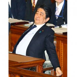 何でもかんでも強行採決やりたい放題は自民党の方（立憲・枝野幸男議員が内閣不信任決議案の趣旨弁明のさなか、伸びをしてみせる安倍首相＝2016年12月、衆院本会議）／（Ｃ）日刊ゲンダイ