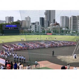 「第45回全日本学童軟式野球東京都大会」開会式の様子（Ｃ）日刊ゲンダイ