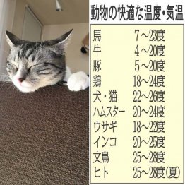 暑くて溶ける～（Ｃ）日刊ゲンダイ