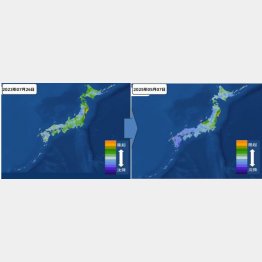 青くなっている部分は沈降していることを示す（Ｃ）JESEA