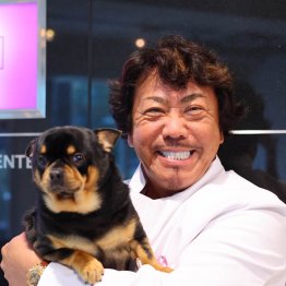 野村潤一郎院長（Ｃ）日刊ゲンダイ