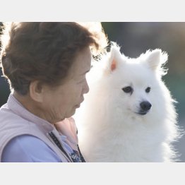 もし、自分が死んでしまったら…