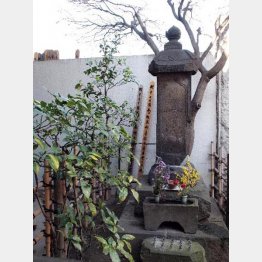 春慶院の墓（提供写真）