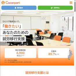 ココルポートのHP