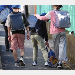 写真はイメージ（Ｃ）日刊ゲンダイ