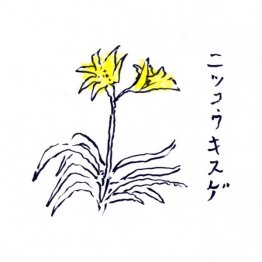 イラスト・沢野ひとし