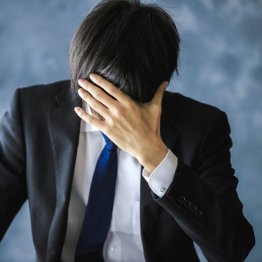 写真はイメージ