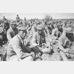 モンゴル国境付近で捕虜になった日本兵（1939＝昭和14＝年9月）　（Ｃ）Sputnik／共同通信イメージズ