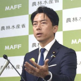 米国追従タイプはもっと最悪（Ｃ）共同通信社