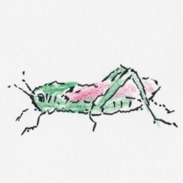 イラスト・沢野ひとし