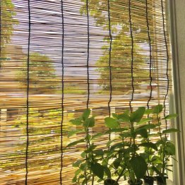 すだれをかけるなら外に