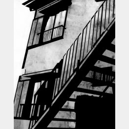 イラスト・宮坂猛