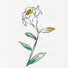 イラスト・沢野ひとし