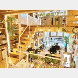 おしゃれなオフィスも意欲向上に一役買っている（Ｃ）日刊ゲンダイ