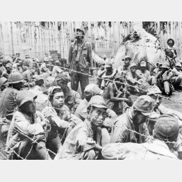 ソロモン諸島のガダルカナル島で、米軍の捕虜となった日本軍兵士＝1942年（ＡＣＭＥ）