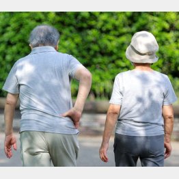 写真はイメージ（Ｃ）日刊ゲンダイ