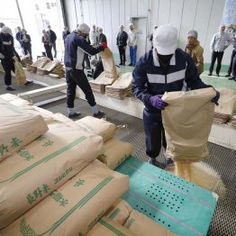 備蓄米が精米されて流通へ（Ｃ）共同通信社