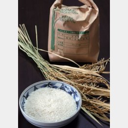 今年の秋からはオリジナル米を