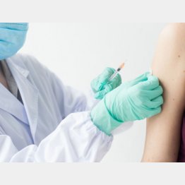 写真はイメージ