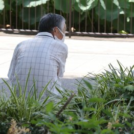 写真はイメージ（Ｃ）日刊ゲンダイ