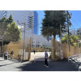 青柳美結容疑者ら女4人が逮捕された東京・新宿の大久保公園（Ｃ）日刊ゲンダイ