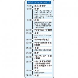 山田パンダさんのとある1日（Ｃ）日刊ゲンダイ