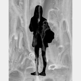 イラスト・宮坂猛