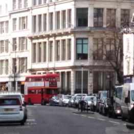 ハネムーンで行きたかった（Ｃ）日刊ゲンダイ