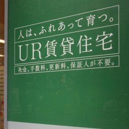 「特別募集住宅」も考慮に（Ｃ）日刊ゲンダイ