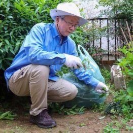 大したことがないと思う程度の打撲でも…