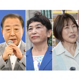 その時に、立ち現れる可能性はあるのかどうか（Ｃ）日刊ゲンダイ