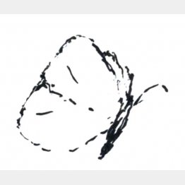 イラスト・沢野ひとし