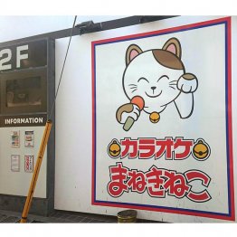 駅前立地が多い（まねきねこ）／（Ｃ）日刊ゲンダイ