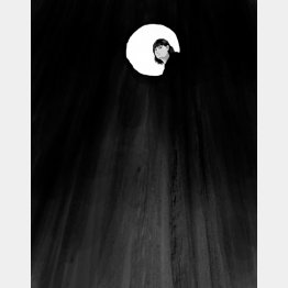 イラスト・宮坂猛