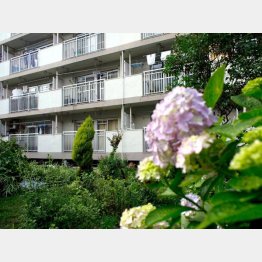 女性の首が発見された現場（提供）筆者