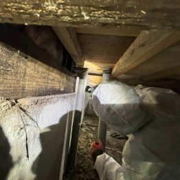 シロアリ被害の調査をしている様子（提供写真）