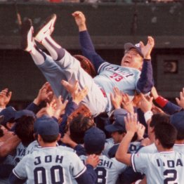 ヤクルト、1993年日本シリーズ優勝（Ｃ）日刊ゲンダイ
