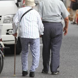 見分けがつきにくいものもある（Ｃ）日刊ゲンダイ