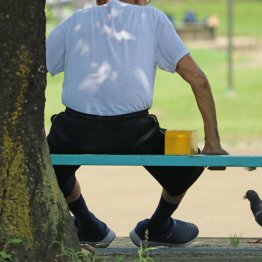 脳の病気の早期発見は認知症対策につながる（Ｃ）日刊ゲンダイ