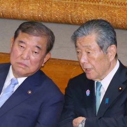 古だぬきの調整役がいなければ政党が持たないなんて…（Ｃ）日刊ゲンダイ