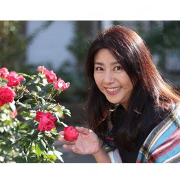 立花理佐（Ｃ）日刊ゲンダイ