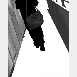 イラスト・宮坂猛