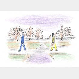 イラスト・沢野ひとし