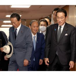 自民党の抗争ではもの凄い戦術がとられている（左から麻生、菅、岸田3氏）／（Ｃ）日刊ゲンダイ