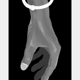 イラスト・宮坂猛