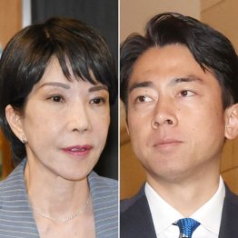 人材払底も続投に追い風（高市早苗前経済安保相、小泉進次郎農相）／（Ｃ）日刊ゲンダイ