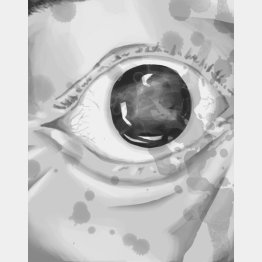 イラスト・宮坂猛